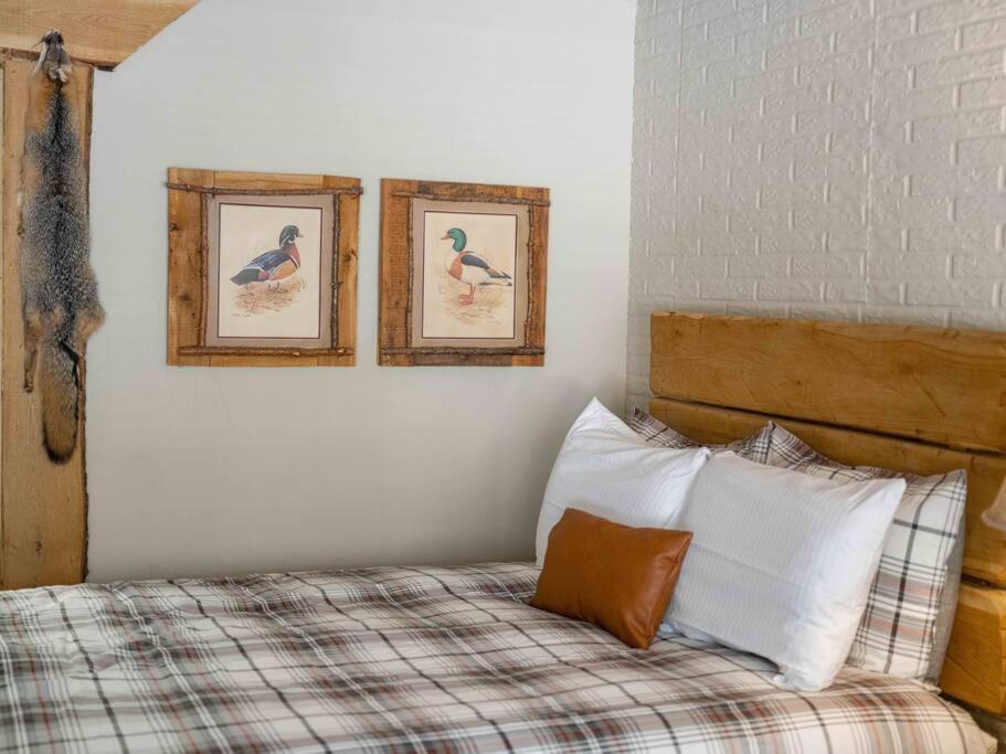 Stonegate Lodge 2 Queen Beds Fast Wifi 50In Tv Salt Water Pool Room # 305 Юрика Спрингс Экстерьер фото